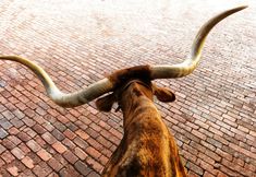 その他 2 Hotel Drover, Autograph Collection