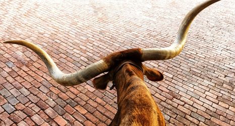 その他 2 Hotel Drover, Autograph Collection