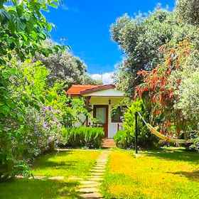 Primary image1達特恰艾夫塔利庫斯飯店,达特恰区飯店