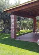 Primary image House Surrounded by Olive Trees