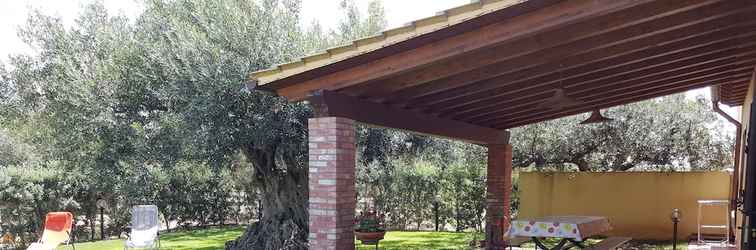 Lain-lain House Surrounded by Olive Trees