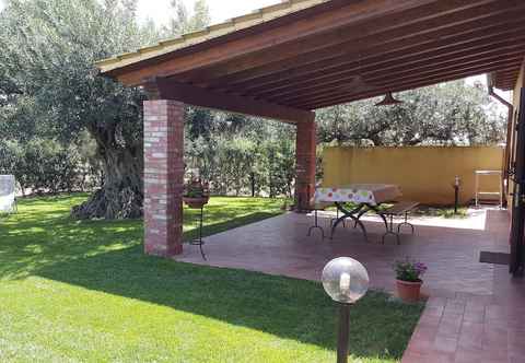 Lain-lain House Surrounded by Olive Trees