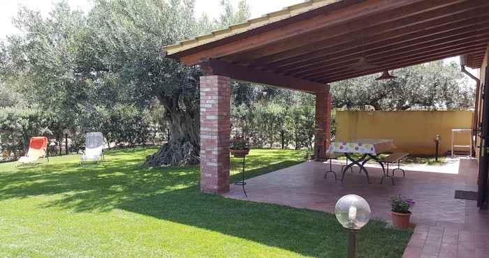 Khác House Surrounded by Olive Trees