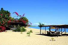 其他 Mango Drift Lodge - Hostel