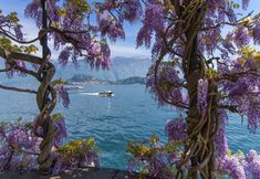 Others 5 Gaeta Splendid Lake