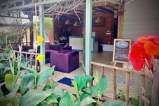 その他 The Azure - M'Pai Bay