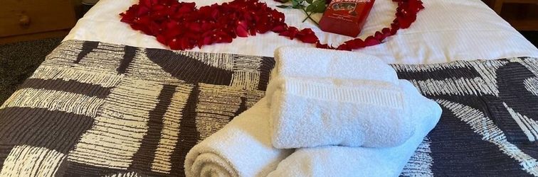 Others Washington's Hidden Gem Amethyst 3 Bedroom House s