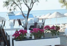 其他 5 Yahsi Beach Hotel