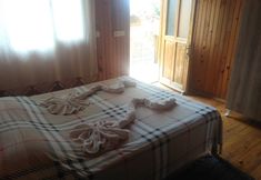 기타 6 Olive Garden Kabak