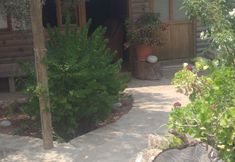 기타 2 Olive Garden Kabak