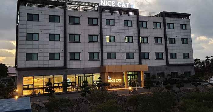 Lainnya Nice Cat Hotel & Guest House