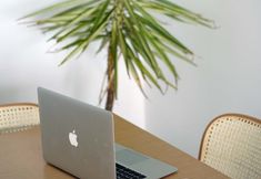 Others 4 Blue Island Luxury Hotel - Adults Only