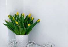 その他 5 Apartament Słoneczny - 365PAM