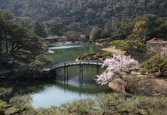 Others 7 fav TAKAMATSU