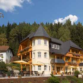 Primary image 1 Waldgasthof Lorchenmühle, Ludwigsstadt Hotels