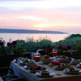 Primary image1塔石漢精品飯店,Dolphin Balık Restaurant (Sarıyer Balık Restaurant)飯店