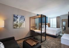 其他 7 SpringHill Suites by Marriott Dallas Richardson/University Area