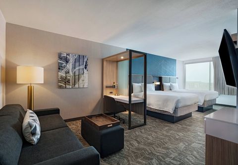 其他 SpringHill Suites by Marriott Dallas Richardson/University Area