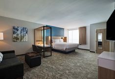 其他 4 SpringHill Suites by Marriott Dallas Richardson/University Area