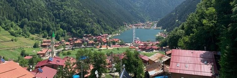 その他 Auga Apart