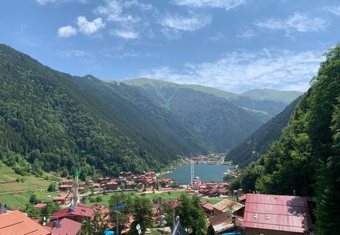 その他 Auga Apart