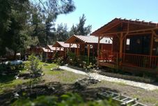 Lain-lain Olympos Tanrılar Kulübü