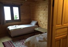 Others 4 Pokut Orion