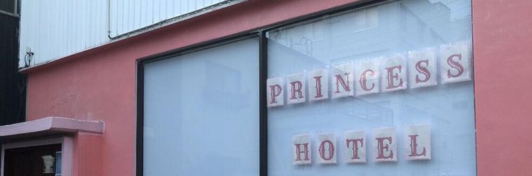 Others Sapporo Princess Hotel - Hostel