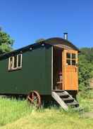 Primary image Cosy Woodland off Grid Shepherds Hut - Rowan