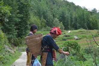 Khác 4 Sapa Homestay Trekking Tour For Backpackers