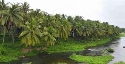 Lain-lain 4 Room in Royal Cottage, Anaimalai