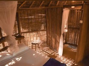 Others 4 Art Jungle Eco Lodge