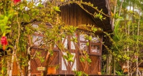 Others 2 Art Jungle Eco Lodge