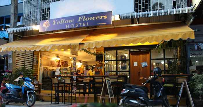 Khác Yellow Flowers Hostel