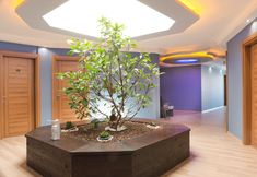 其他 4 Urla My Rooms