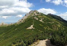 その他 2 Słoneczny Dworek