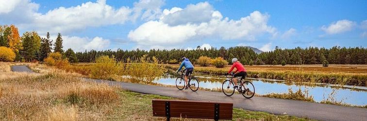 기타 Coyote Lane 9