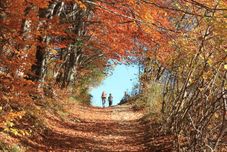 其他 Hotel NAT Piwniczna Zdrój