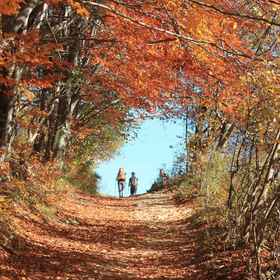 Primary image1Hotel NAT Piwniczna Zdrój,Rytro 294飯店