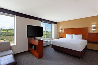 其他 4 Hyatt Place San Diego/Vista-Carlsbad
