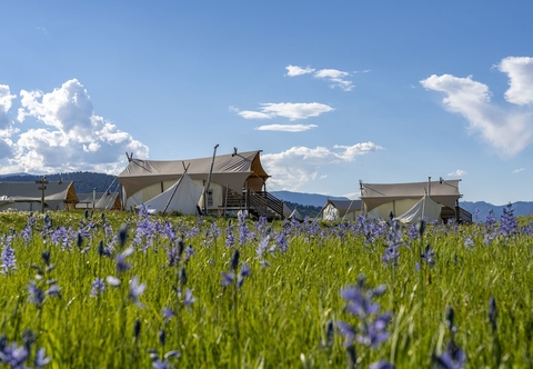 Others Under Canvas West Yellowstone