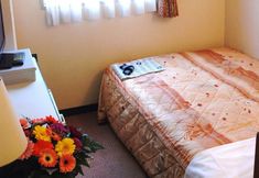 Others 7 Business Hotel Nissei