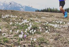 Others 6 Albergo Aprica Garni