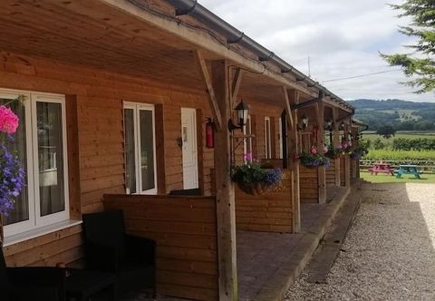 其他 The Flying Fish Stables