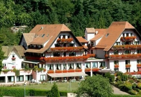 Khác Hotel des Vosges