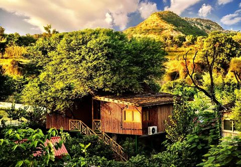 Others The Tree House Resort