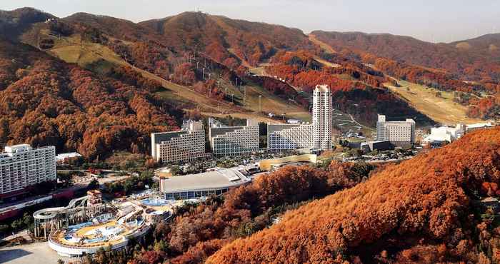 Khác Phoenix Resort Pyeongchang