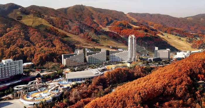 อื่นๆ Phoenix Resort Pyeongchang