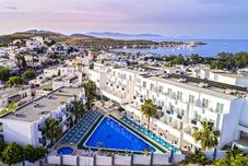 其他 Shark Club Hotel