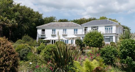 Others 2 The Rosevine